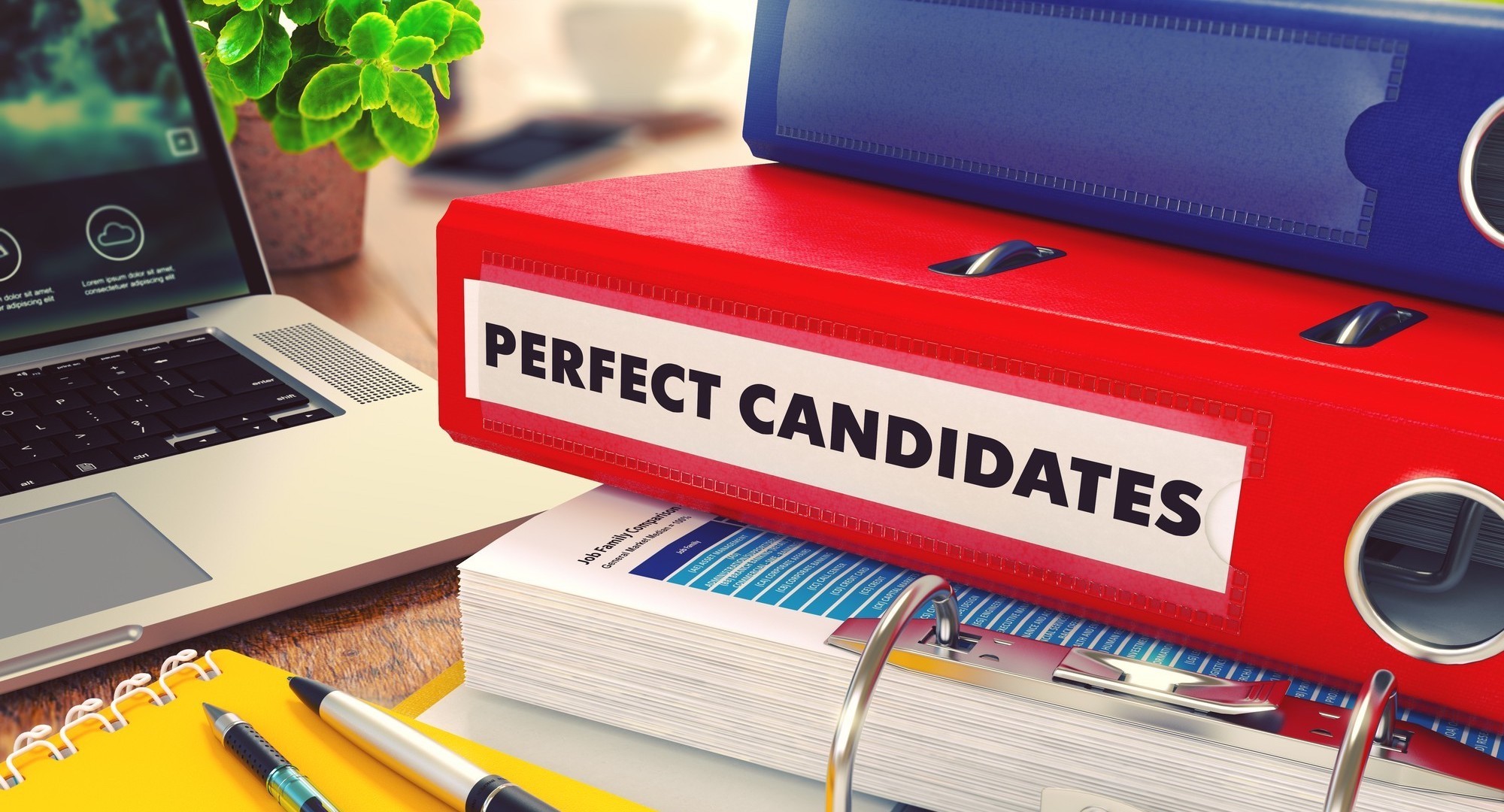 Talent acquisition services for employers in Japan